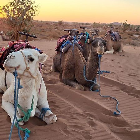 Hotel Desert Bivouac Mhamid M'Hamid El Ghizlane Exterior foto