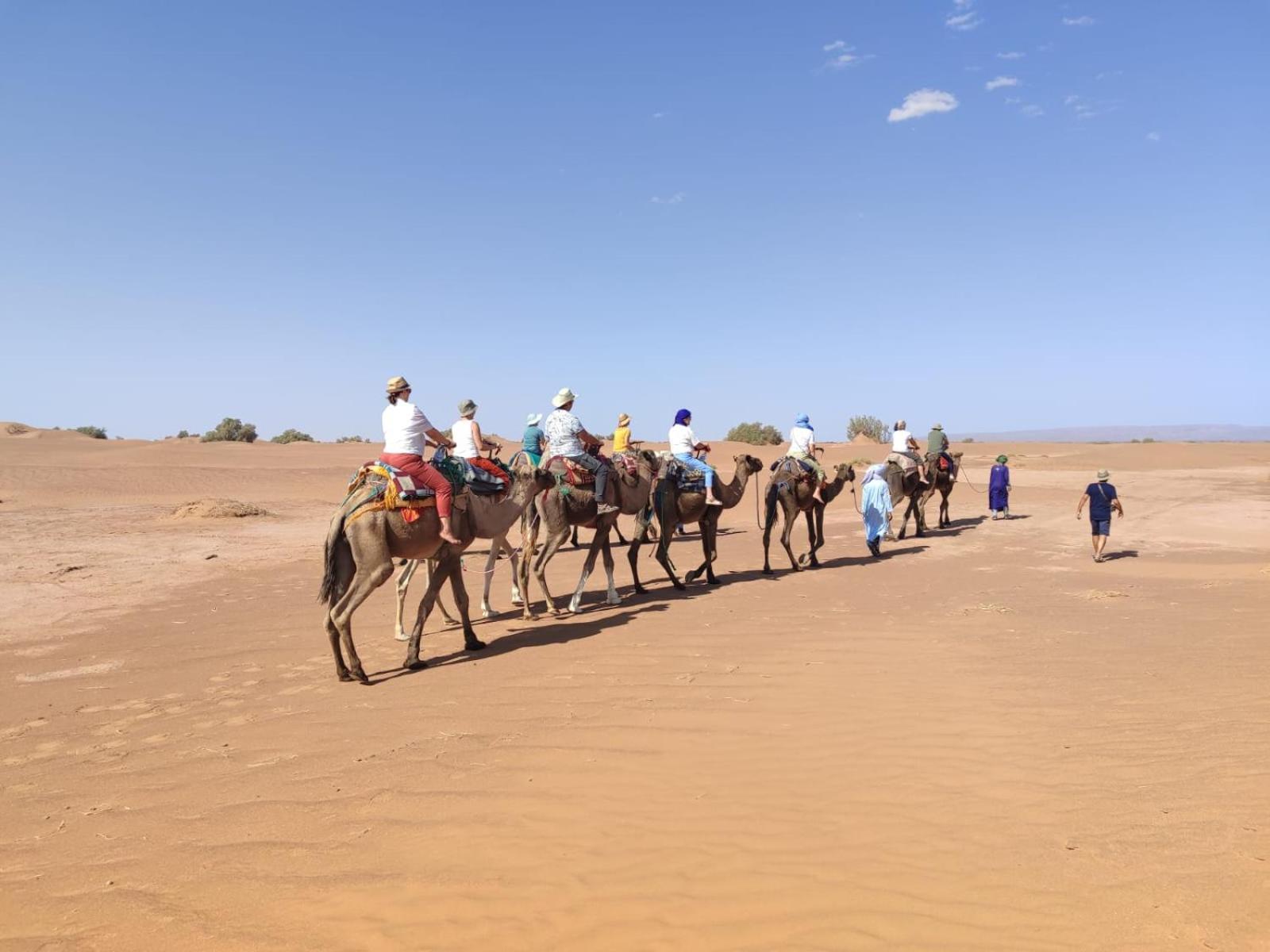 Hotel Desert Bivouac Mhamid M'Hamid El Ghizlane Exterior foto