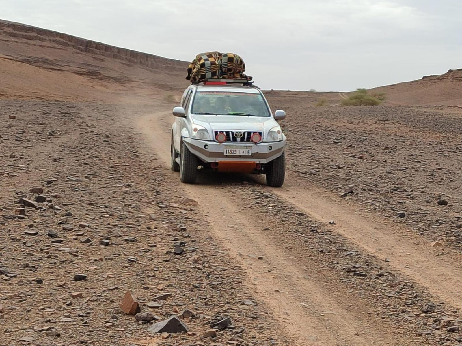 Hotel Desert Bivouac Mhamid M'Hamid El Ghizlane Exterior foto