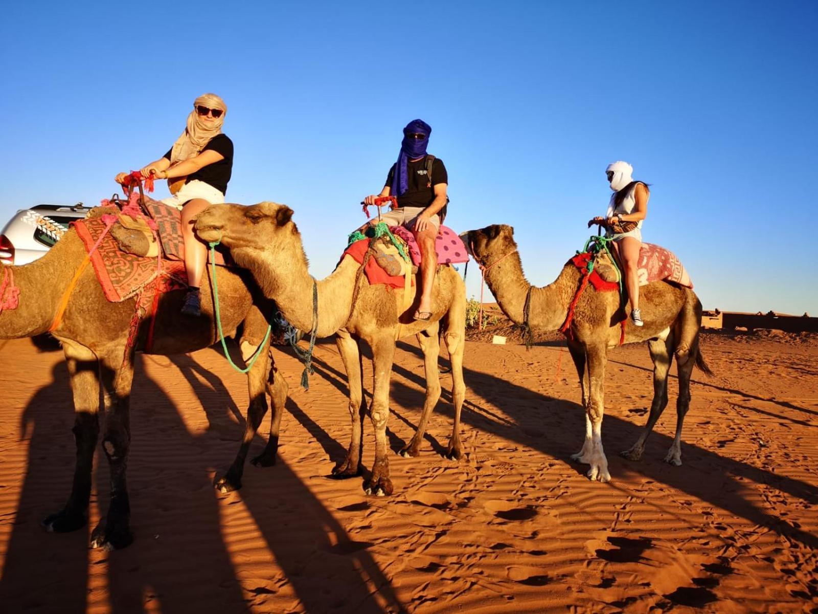 Hotel Desert Bivouac Mhamid M'Hamid El Ghizlane Exterior foto