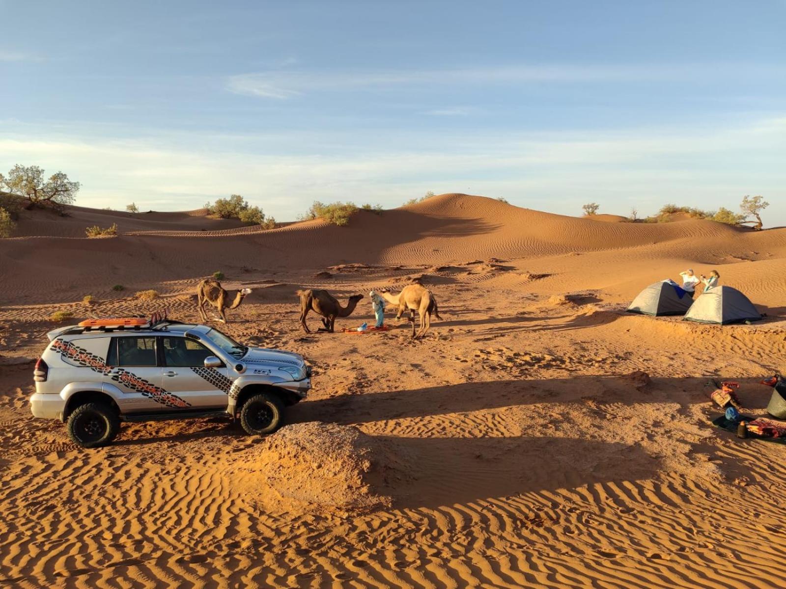 Hotel Desert Bivouac Mhamid M'Hamid El Ghizlane Exterior foto