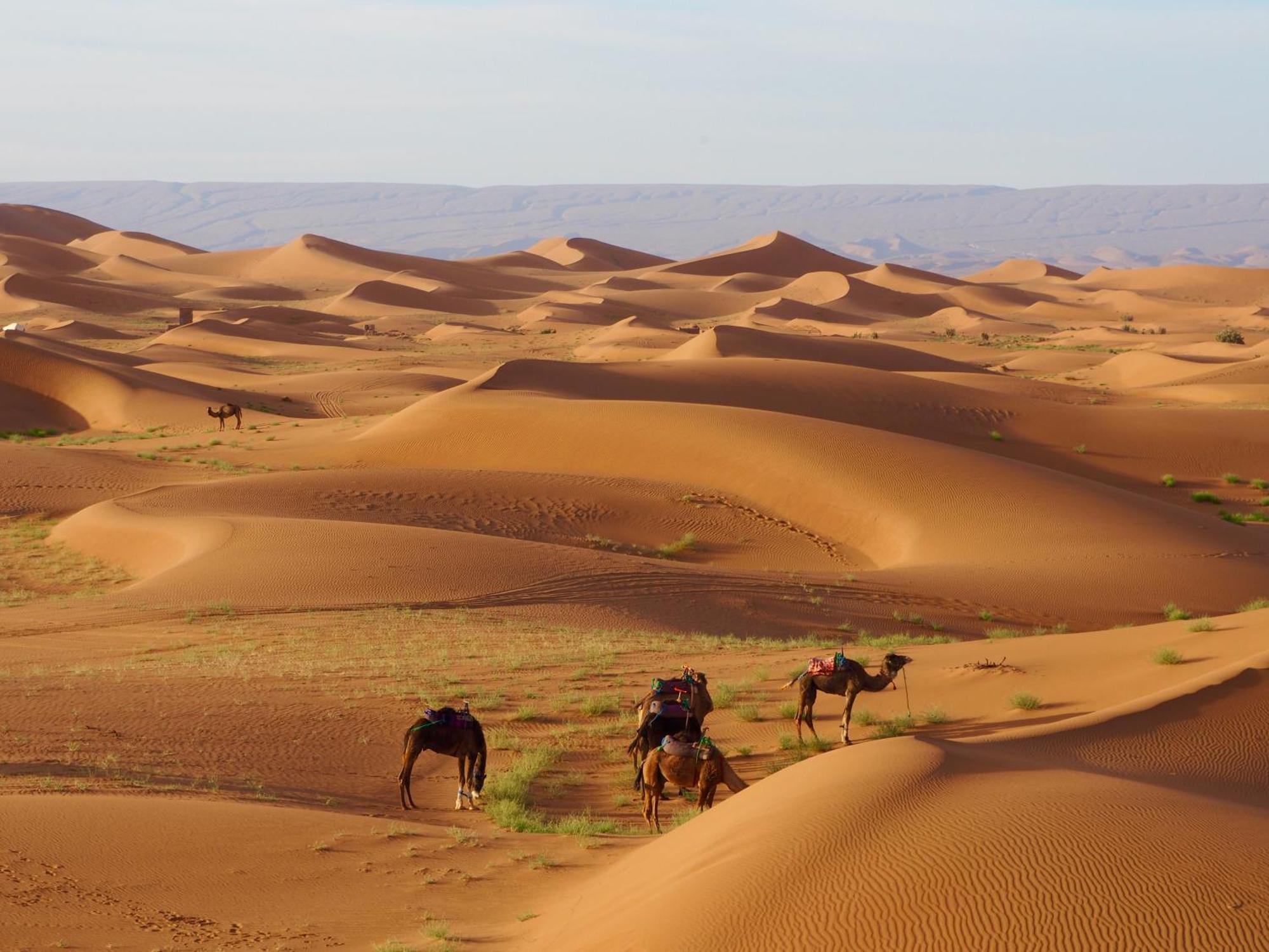 Hotel Desert Bivouac Mhamid M'Hamid El Ghizlane Exterior foto