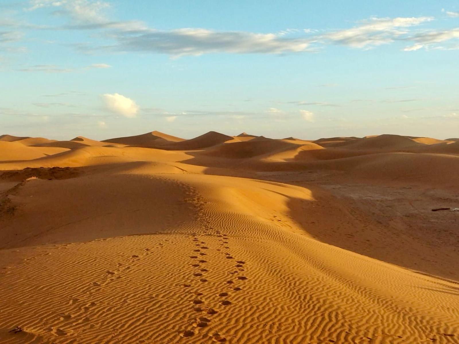 Hotel Desert Bivouac Mhamid M'Hamid El Ghizlane Exterior foto